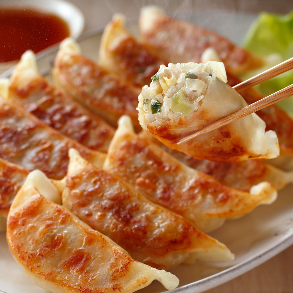 【送料無料※北海道・沖縄等一部地域除く】宇都宮餃子 とんきっき餃子　30個入り×2袋